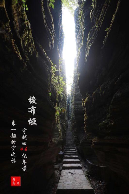 全都是凶手